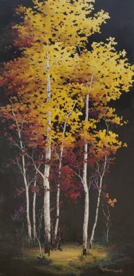 Seasons Spring Forth Autumn Night